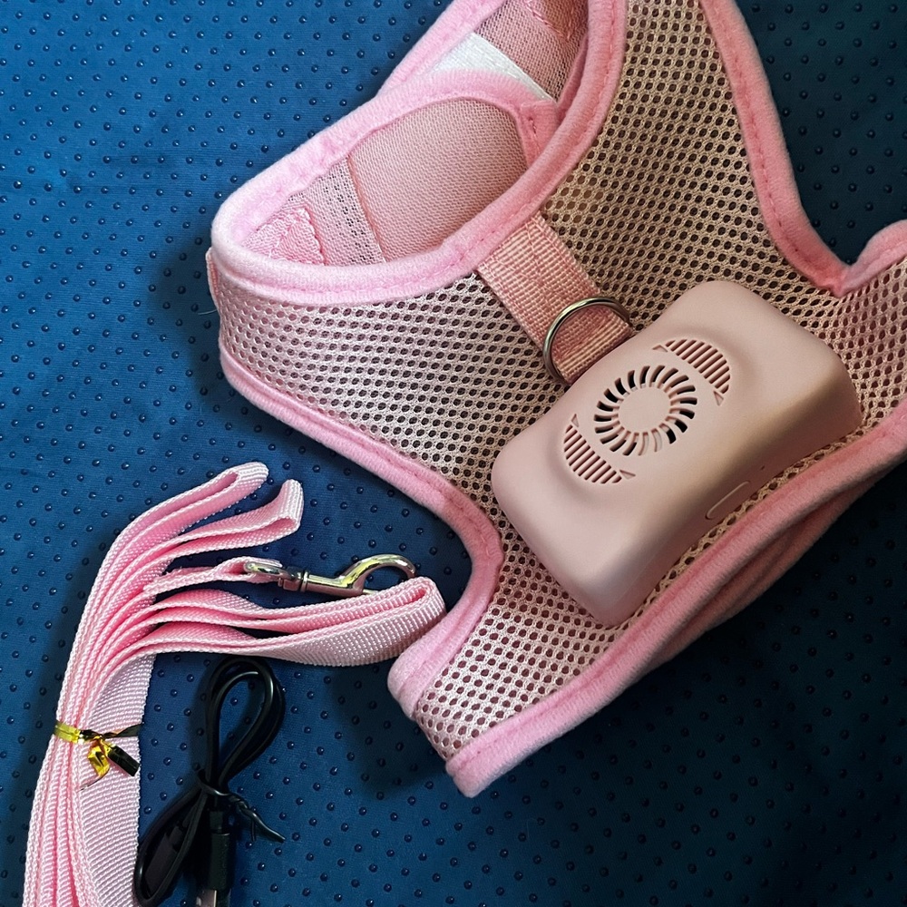 Pink Mesh Pet Harness with Leash